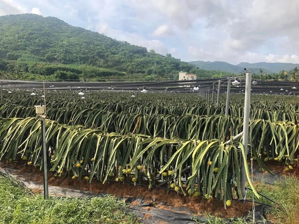 微信圖片_20210525162315.jpg