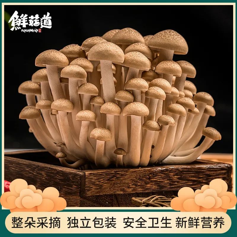 微信圖片_20220923155050.jpg
