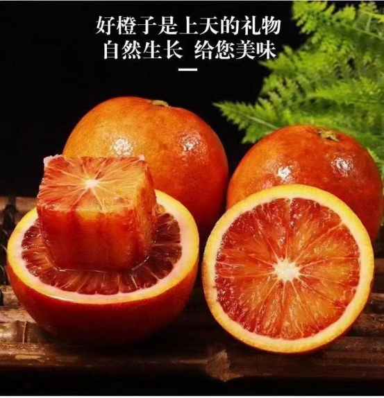 微信圖片_20240328142454.png