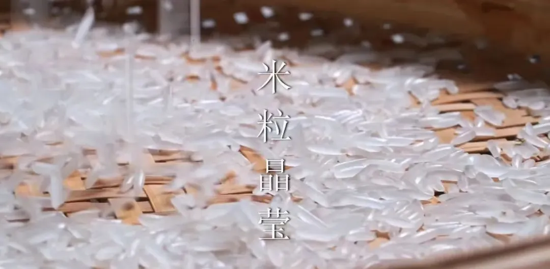 微信圖片_20241212174908.png